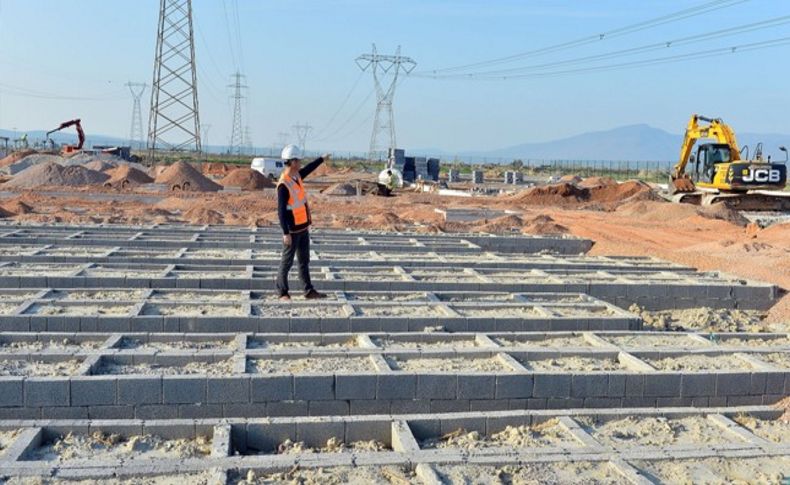 İzmir'de sokak hayvanlarına  iki yeni yuva geliyor